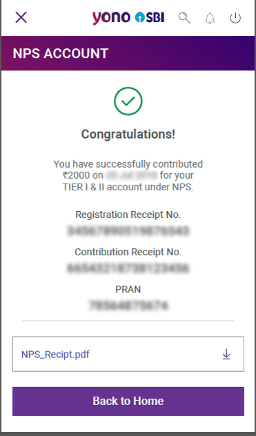 plan your retirement through smart investment in national pension system nps 9